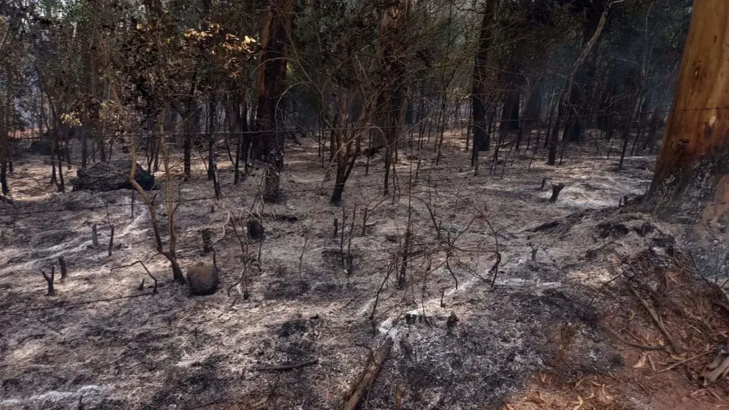 Não apenas estiagem é um risco no verão gaúcho que começa