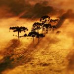 Quarta-feira começou com frio nos três estados do Sul do Brasil