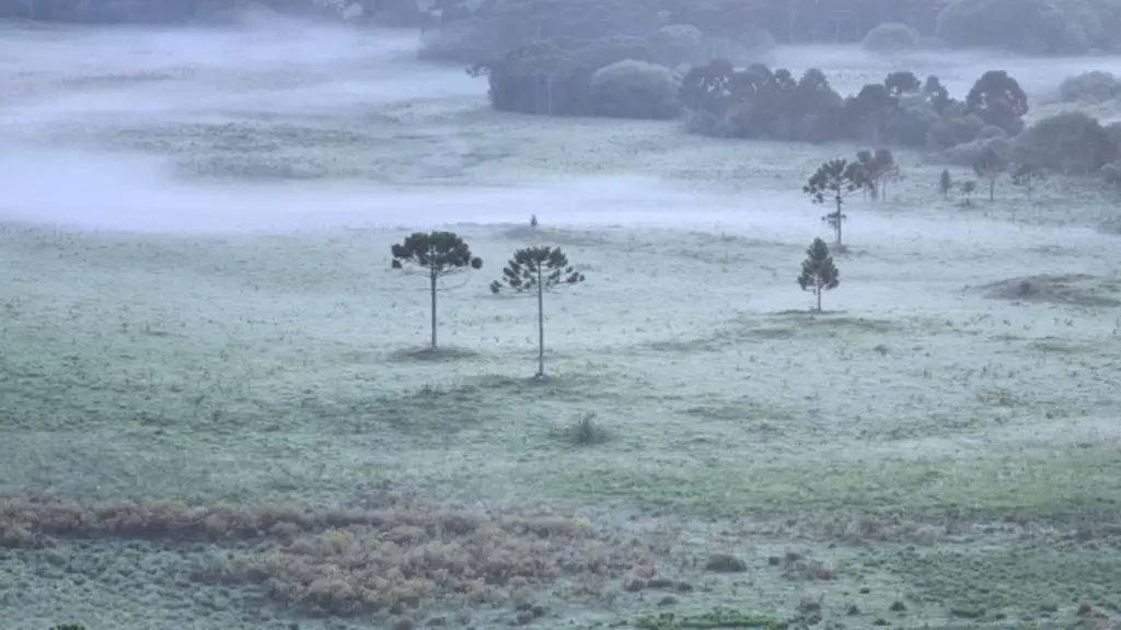 Começo de dezembro e de verão climático com frio e geada
