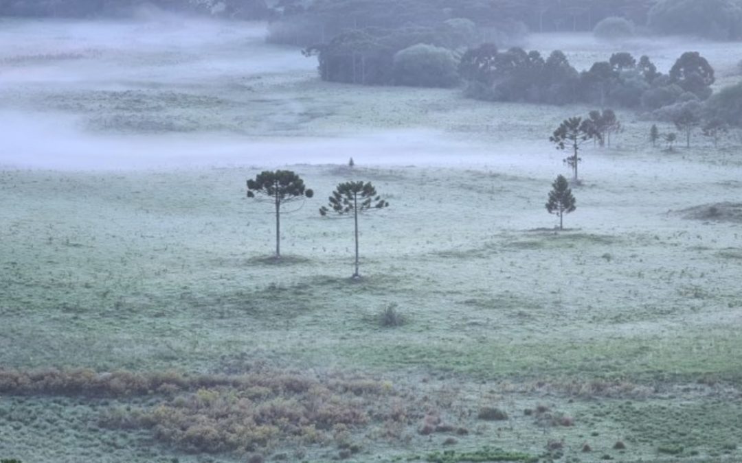 Começo de dezembro e de verão climático com frio e geada Mínimas baixas de hoje no Rio Grande do Sul e Santa Catarina tendem a se repetir agora na segunda metade da semana no Sul do Brasil