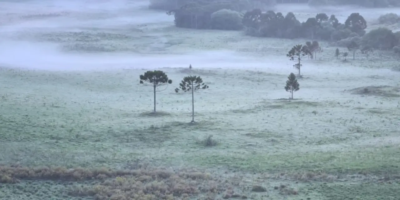 <span class="entry-title-primary">Começo de dezembro e de verão climático com frio e geada</span> <h2 class="entry-subtitle">Mínimas baixas de hoje no Rio Grande do Sul e Santa Catarina tendem a se repetir agora na segunda metade da semana no Sul do Brasil </h2>