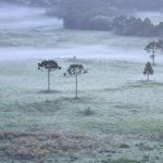 Começo de dezembro e de verão climático com frio e geada