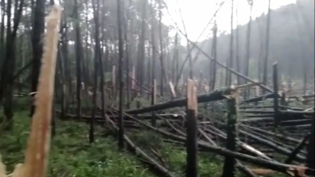 Tornado pode ter atingido município do Norte gaúcho