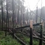 Tornado pode ter atingido município do Norte gaúcho