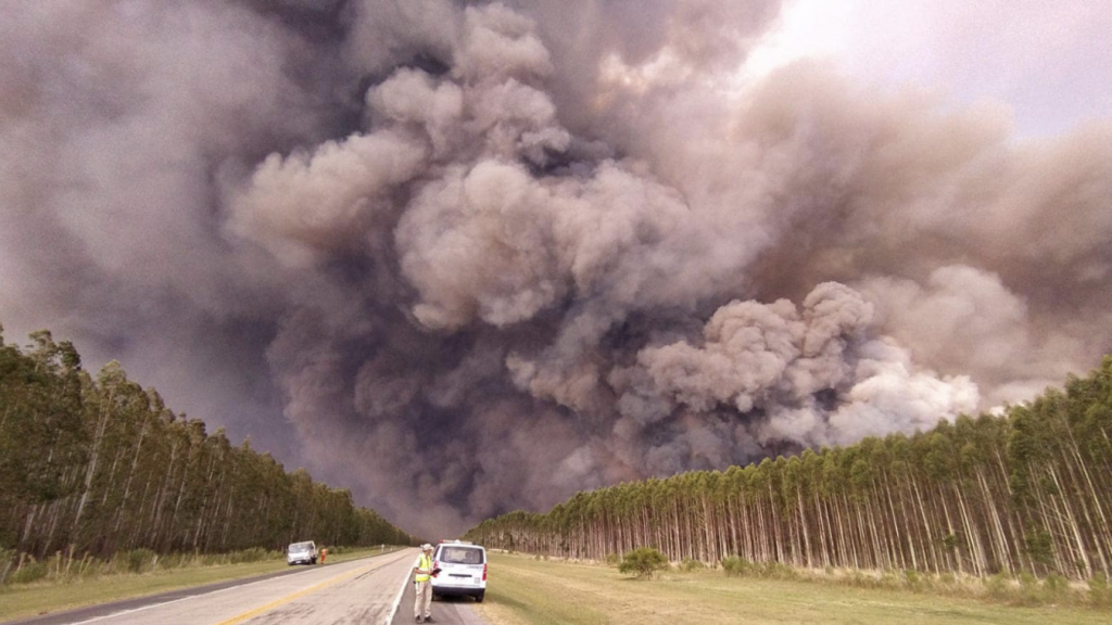 Incêndios fora de controle trazem imagens assustadoras no Uruguai