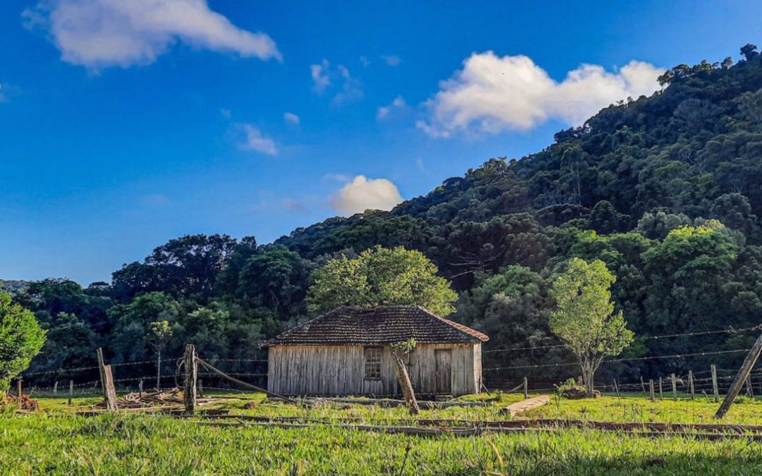 Veja a previsão do tempo para hoje e amanhã (2/12/2021) Calor se intensifica amanhã no Oeste e no Noroeste do Rio Grande do Sul enquanto cidades perto da costa seguem com temperatura agradável