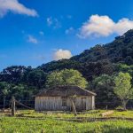 Veja a previsão do tempo para hoje e amanhã (2/12/2021)