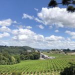 Veja a previsão do tempo para hoje e amanhã (10/12/2021)