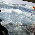 Oceanos mais quentes levam peixes a lugares jamais vistos antes