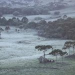 Geada, frio de 3ºC em SC e 4ºC no RS a dias do verão