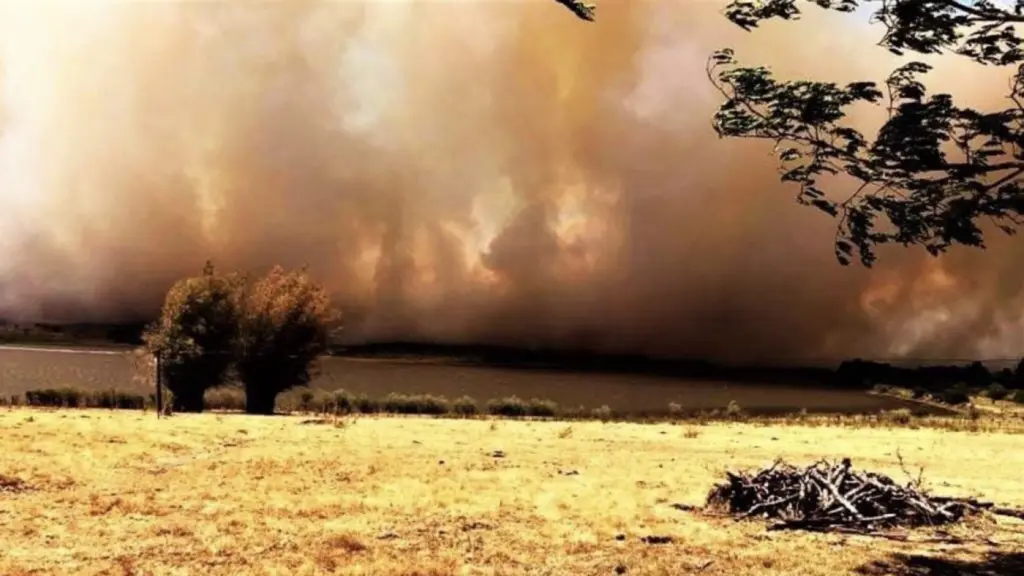 Rio Grande do Sul arde com fogo, calor histórico e quase 43ºC