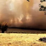 Rio Grande do Sul arde com fogo, calor histórico e quase 43ºC