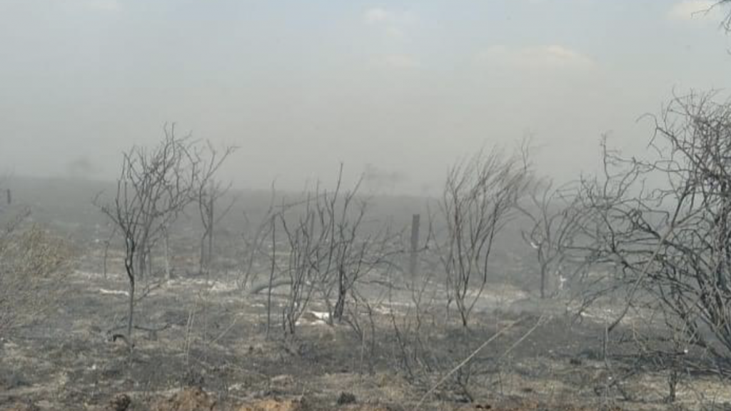 Janeiro de fogo