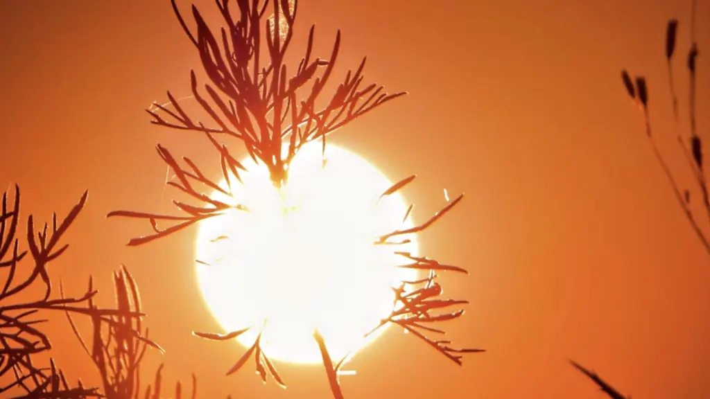 Domingo amanhece com 30ºC e calor hoje será de castigar