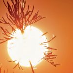 Domingo amanhece com 30ºC e calor hoje será de castigar