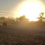 Perto do fim, onda de calor traz 13º dia seguido acima de 40ºC