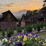 Massa de ar frio traz temperaturas baixas que seguem no fim de semana