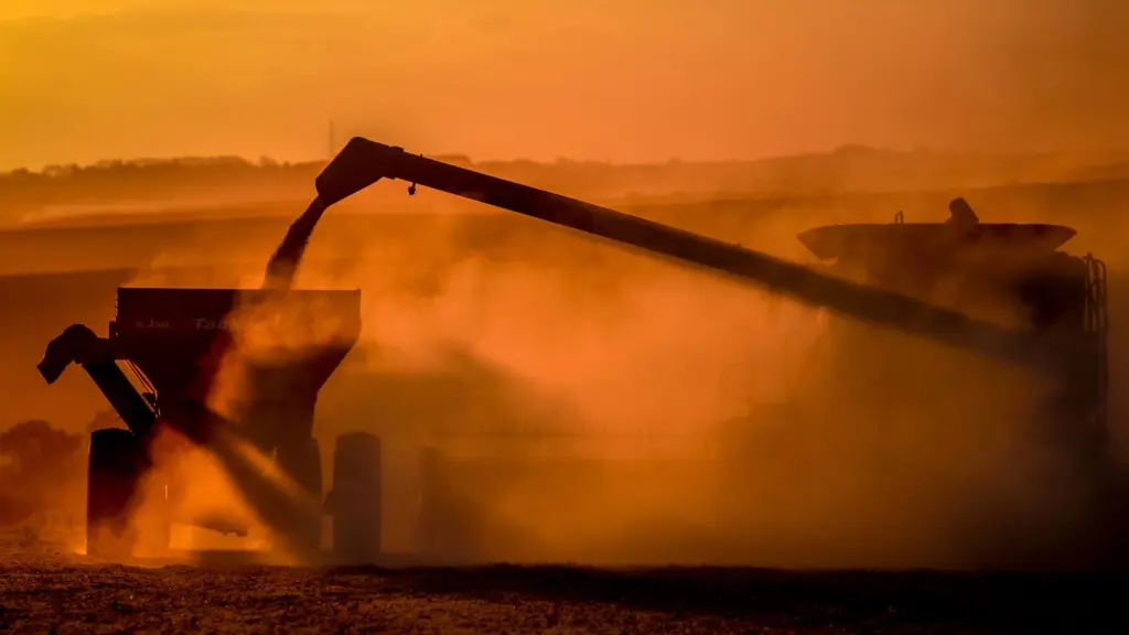 Quem mais vai sentir os impactos da intensa onda de calor