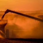 Quem mais vai sentir os impactos da intensa onda de calor