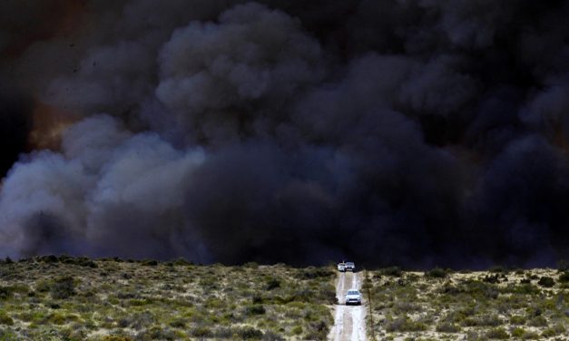 Argentina declara emergência por fogo em meio à onda de calor “bestial”