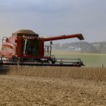 Estiagem já quebra quase metade da safra de verão do Paraná