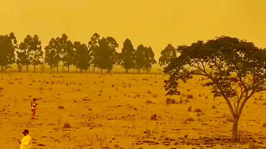 Fogo traz paisagem distópica e cenas impressionantes na fronteira