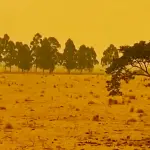 Fogo traz paisagem distópica e cenas impressionantes na fronteira