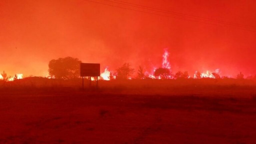 Incêndios fora de controle arrasam o Nordeste da Argentina
