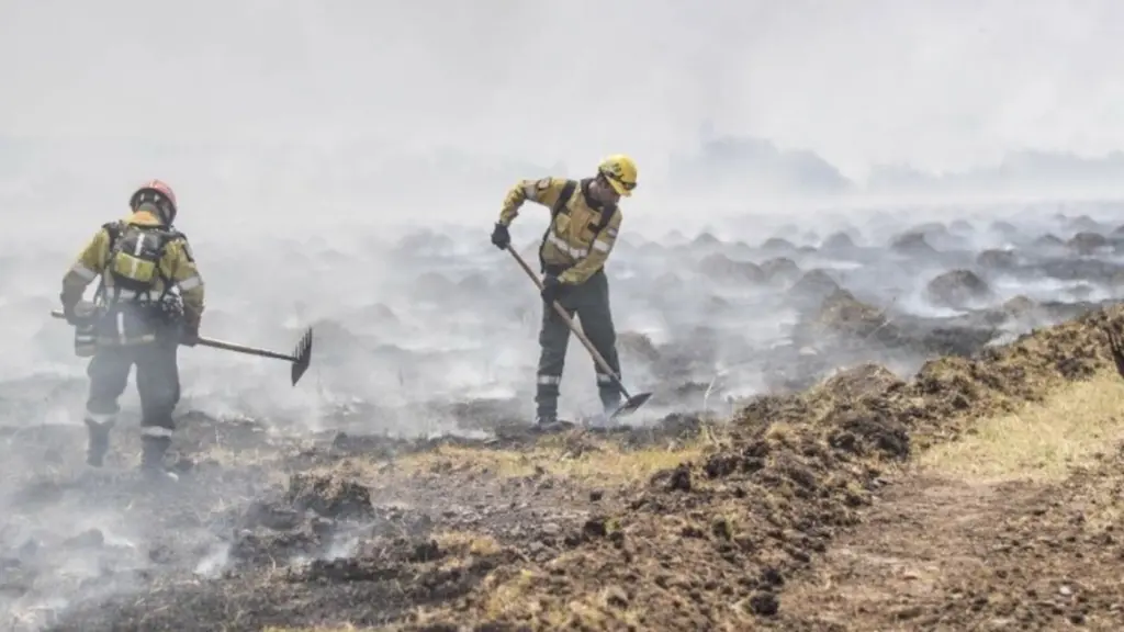 Rio Grande do Sul ajudará Argentina a enfrentar onda de incêndios