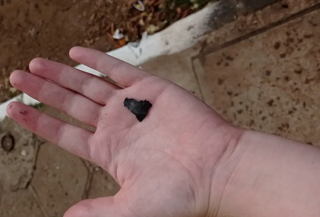 Oeste gaúcho tem “chuva” de fuligem por fogo na Argentina