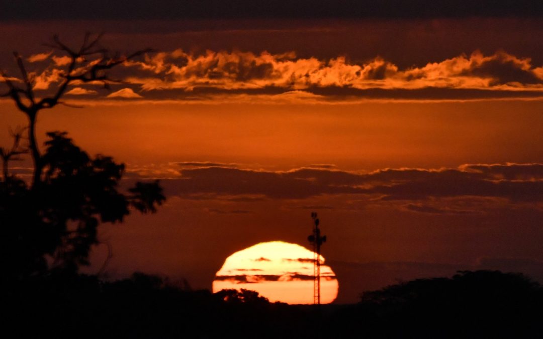 Primeiro mês de 2022 é o sexto janeiro mais quente da história do Planeta Primeiro mês de 2022 é o sexto mês mais quente da análise climática mundial