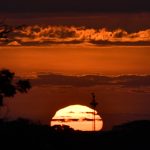 Primeiro mês de 2022 é o sexto janeiro mais quente da história do Planeta