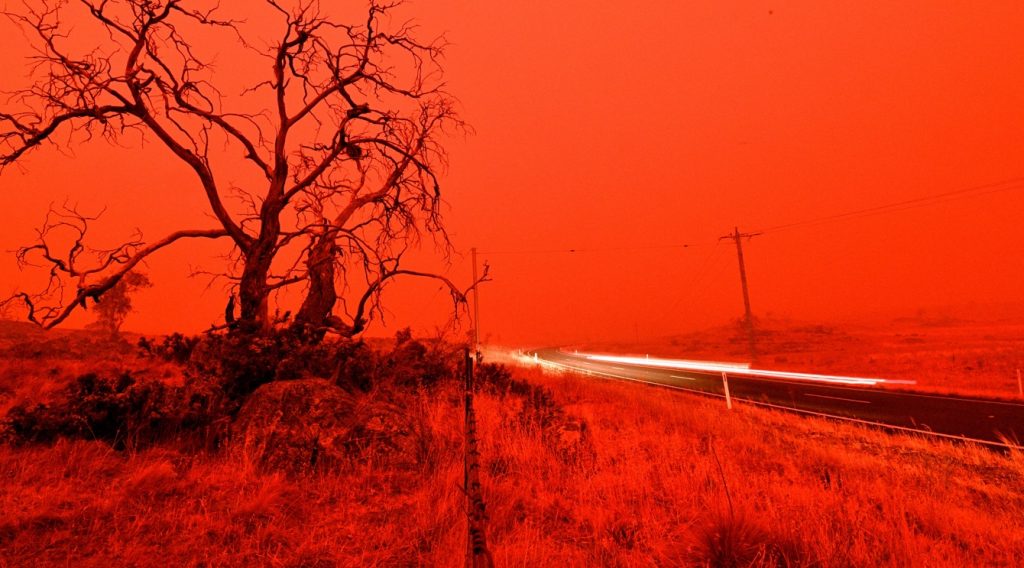 Incêndios catastróficos aumentarão no futuro e são alerta ao Brasil