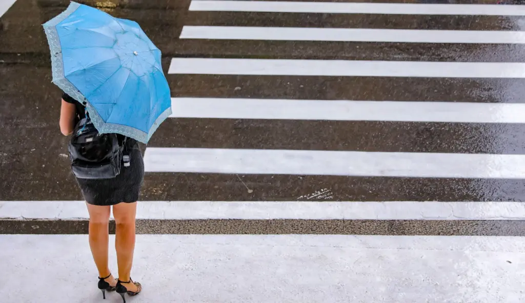 Confira o que já choveu e ainda o que vem de chuva nos próximos dias