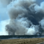 Veja imagens do incêndio que leva bombeiros gaúchos à Argentina