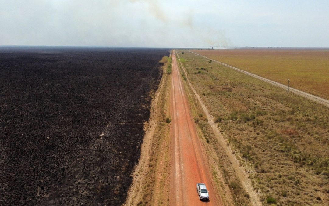 Catástrofe ambiental, econômica e social pelo fogo na Argentina Dez por cento da província de Corrientes já queimou e os focos de incêndios prosseguem com mortes de animais e lavouras destruídas