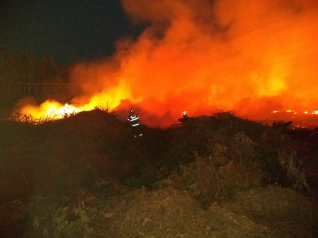 Focos de queimadas aumentaram 10 vezes em parte do Conesul neste início de 2022