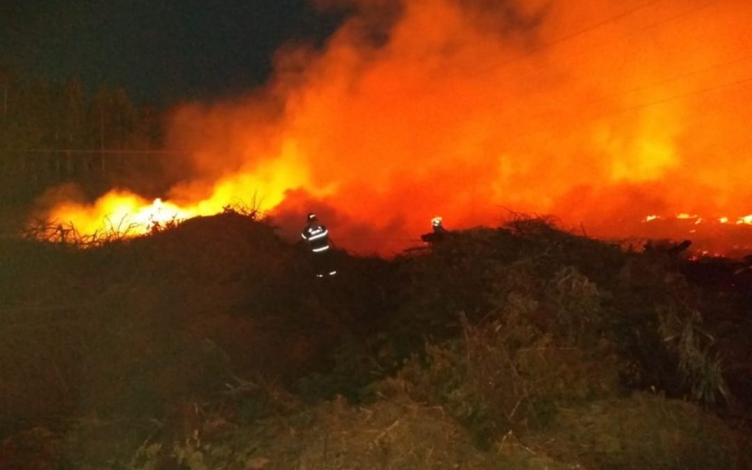Focos de queimadas aumentaram 10 vezes em parte do Conesul neste início de 2022 No Sul do Brasil, o número de focos de incêndios mais que dobrou no começo de ano em comparação a 2021, revela monitoramento do INPE