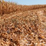 Entenda por que o último trimestre teve escassez e excesso de chuva no Brasil
