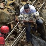Cuidado e carinho com os pets vítimas do desastre de Petrópolis