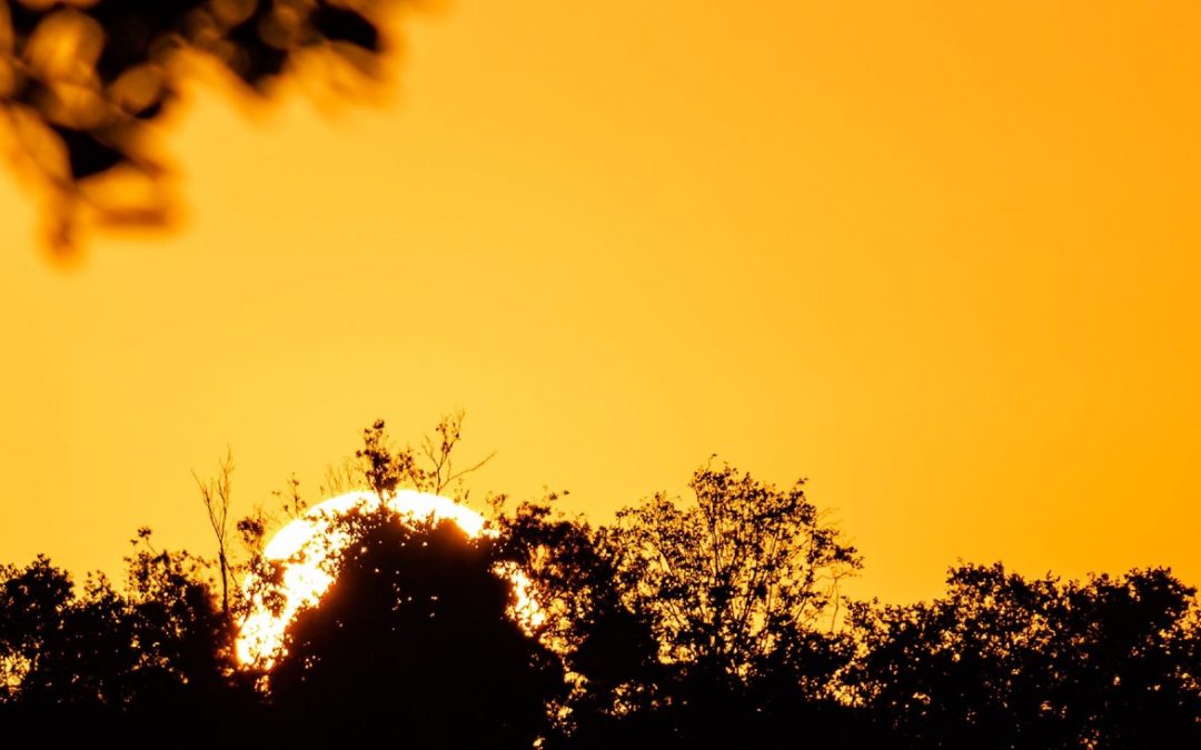 Gangorra térmica entra na fase quente e temperatura pode ficar perto de 40ºC Ontem, o frio atingiu cidades dos três estados do Sul do país com geada em Santa Catarina, nos próximos dias, o calor passa a predominar