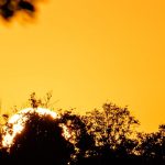 Gangorra térmica entra na fase quente e temperatura pode ficar perto de 40ºC