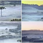 Frio de 4ºC e campos cobertos de geada na metade de fevereiro