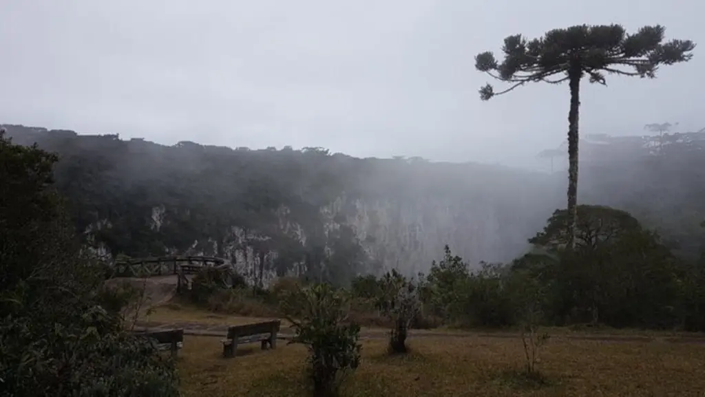 Até quando vai o tempo outonal?