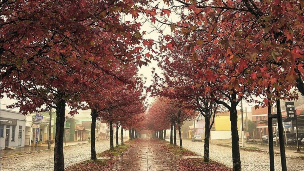 O que esperar do clima no outono de 2022