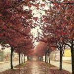 O que esperar do clima no outono de 2022