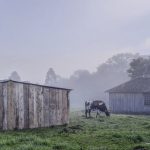 Confira a previsão do tempo para hoje e amanhã (28/03/2022)