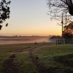 Frio de outono na última madrugada do verão