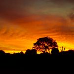 Confira a previsão do tempo para hoje e amanhã (09/03/2022)