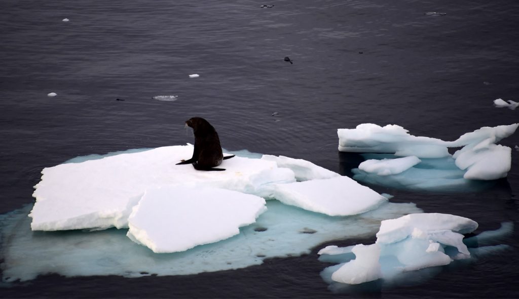 Temperatura absurdamente fora do normal na Antártida
